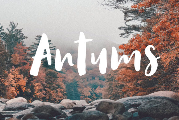 Antums: A Hand-Drawn Brush Font for Striking Editorial Design