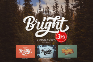 Bright Script: Elevating Digital Brand Identity with Elegant Typography