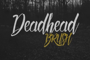 Deadhead Brush Typeface for Modern Web Design