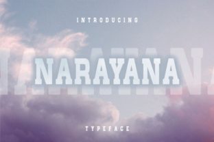 Narayana Typeface: A Bold Serif for Striking Digital Campaigns