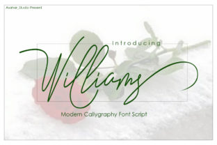 Williams Script Font Review for Modern Campaigns
