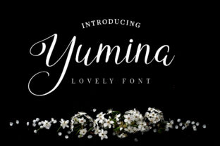 Yumina Script Font Review for Elegant Brand Identity